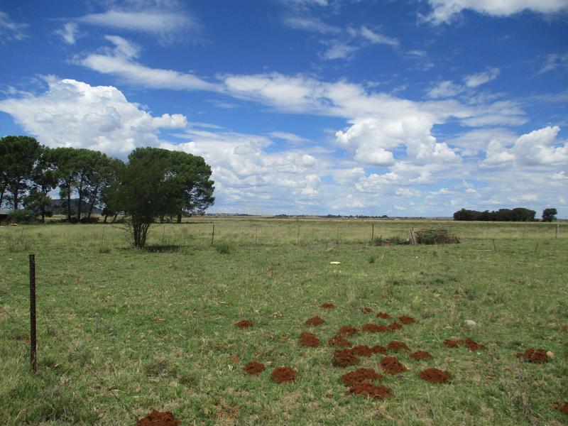 4 Bedroom Property for Sale in Bloemdal Free State